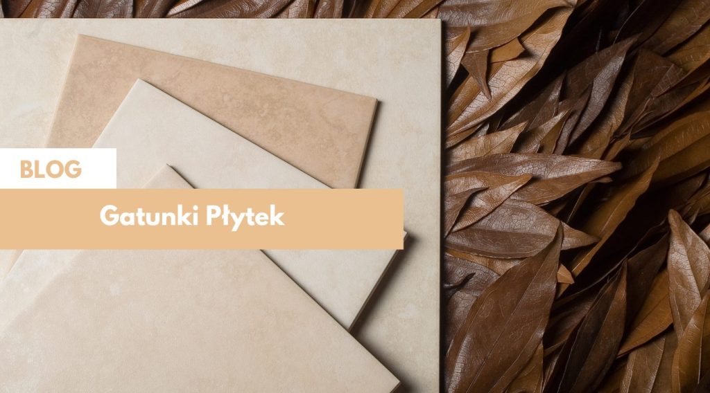 Gatunki płytek